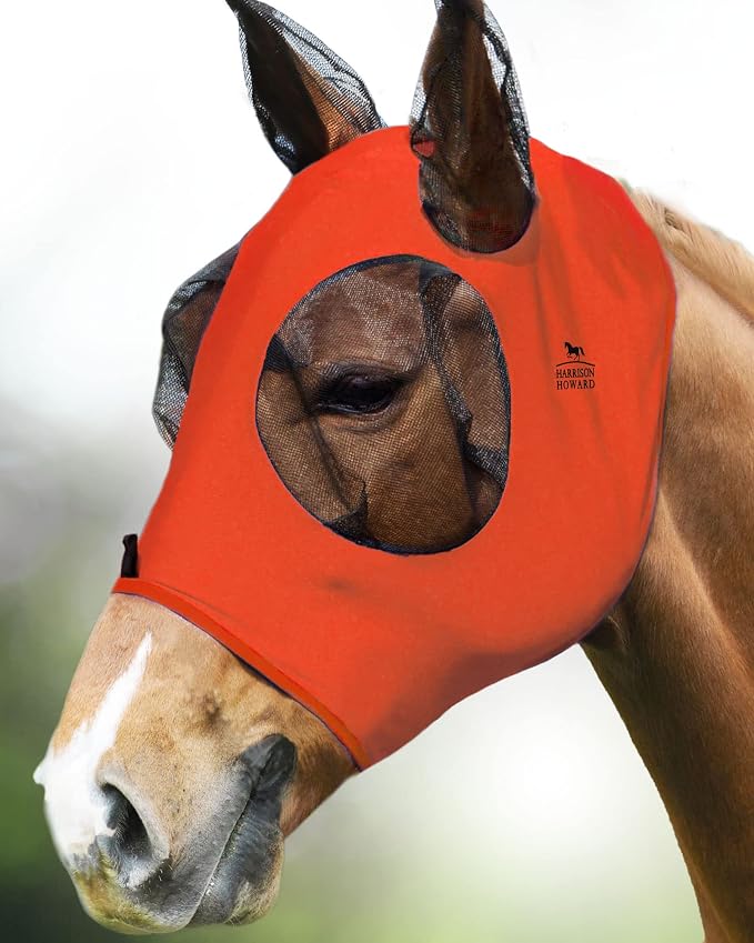 Vibrant Orange