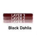 Black Dahlia