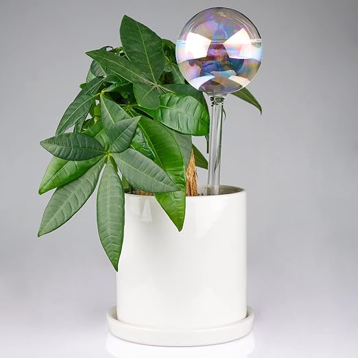 Iridescent 4-Pack