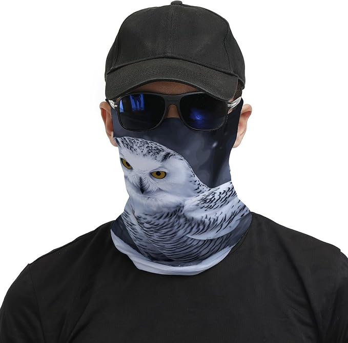 Arctic Owl