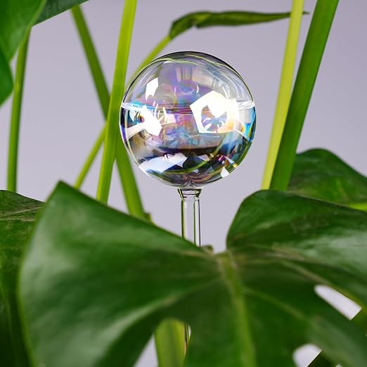 Iridescent 6-Pack