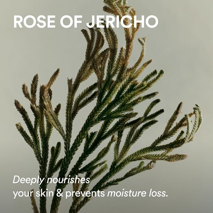 Nourishing (Jericho Rose) 60 Pads
