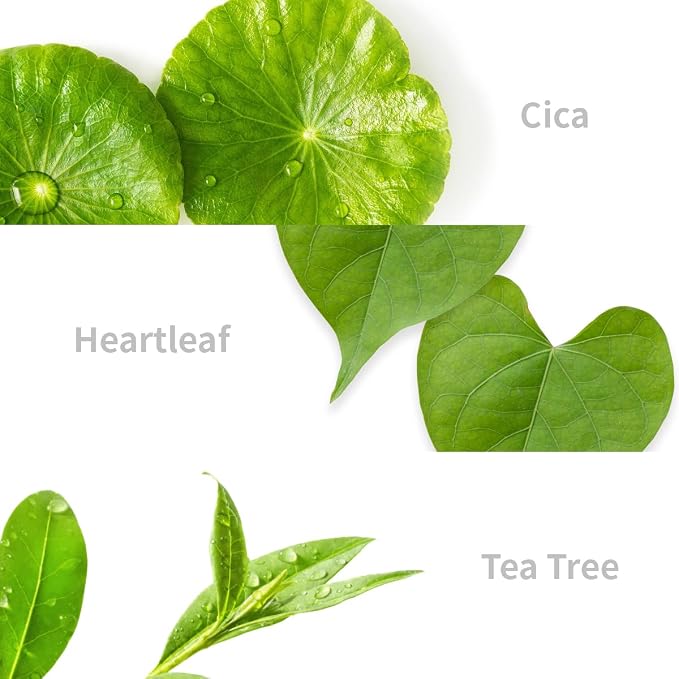 Cica + Heartleaf + Tea tree