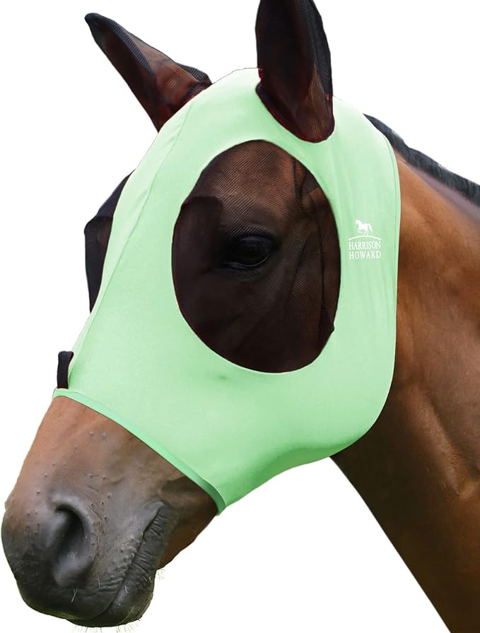 Cool Mint