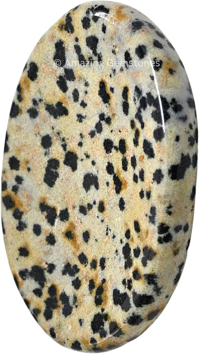 Dalmatian Jasper