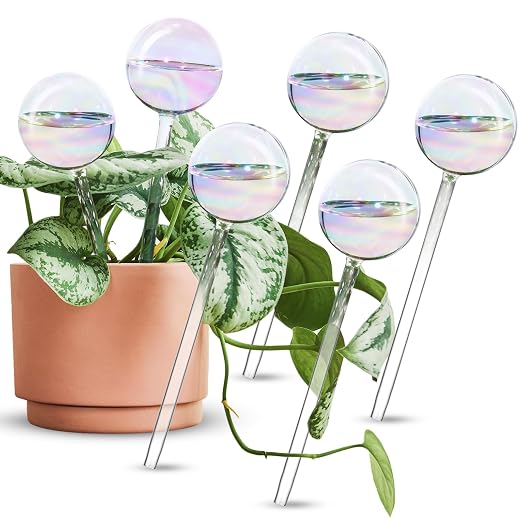 Iridescent 6-Pack