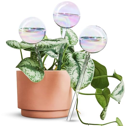 Iridescent 3-Pack