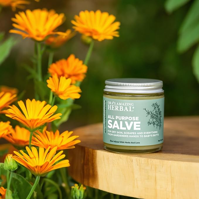 All purpose Salve 4 oz