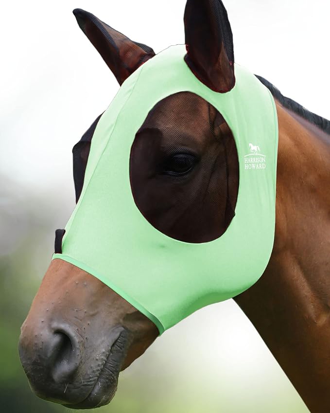 Cool Mint