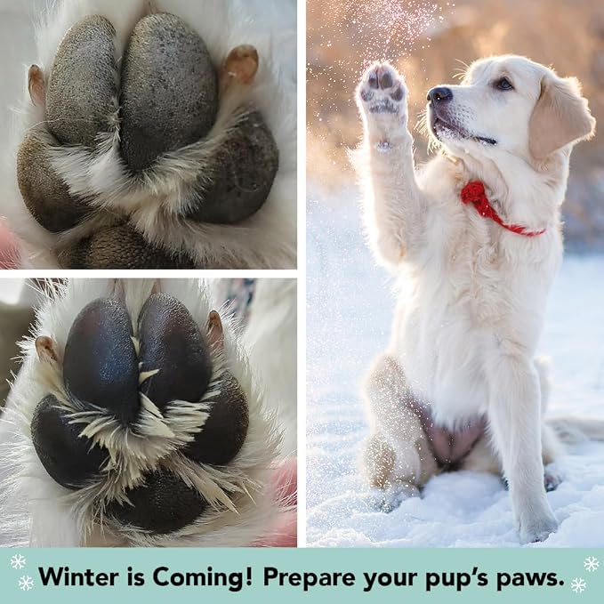 PawTection