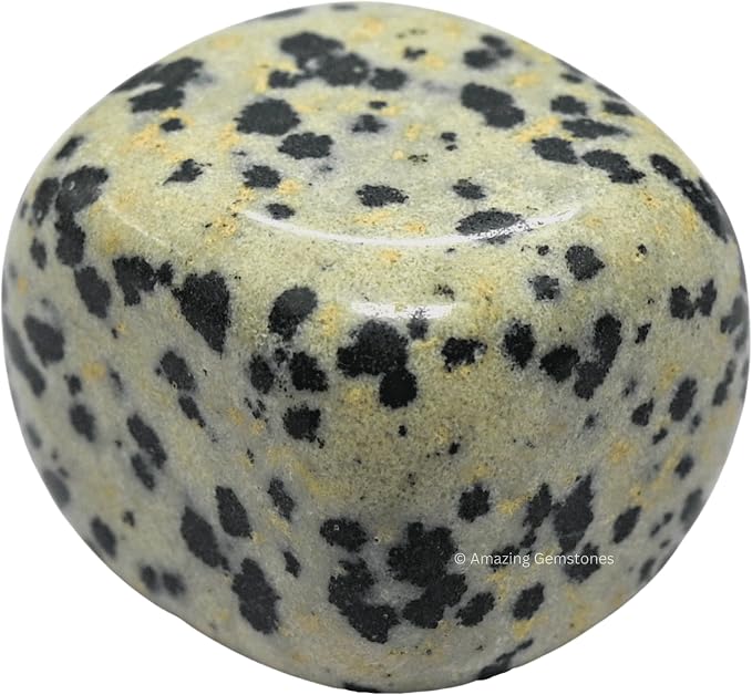 Dalmatian Jasper