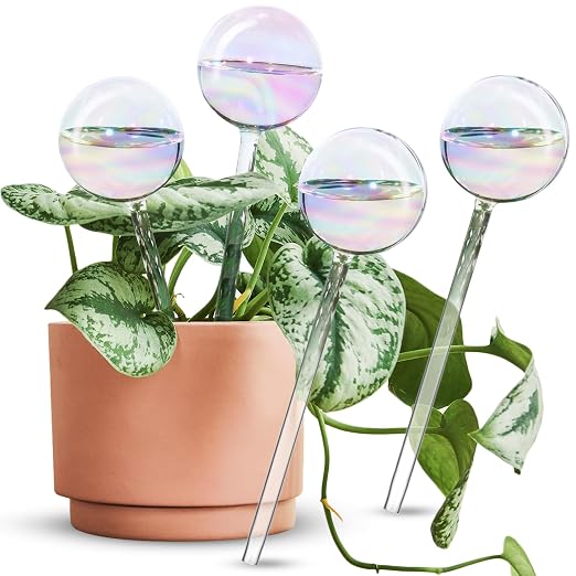 Iridescent 4-Pack