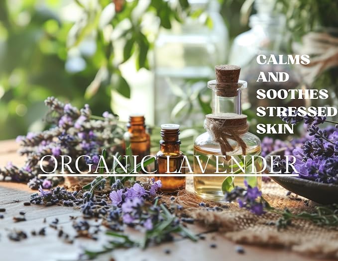 Organic Lavender