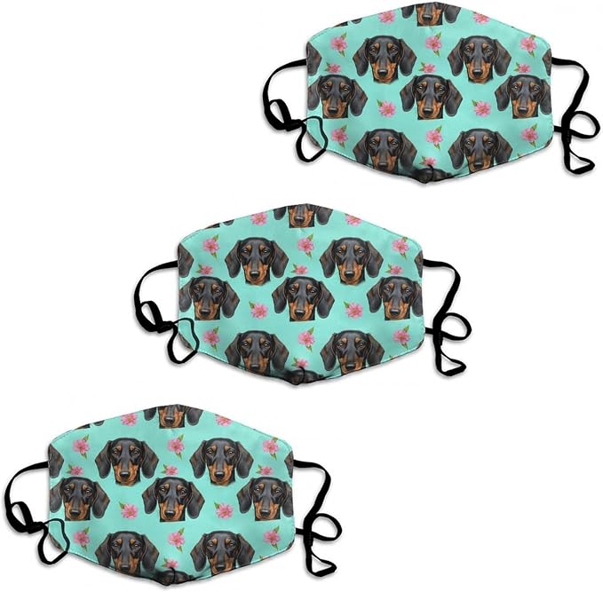Pattern (319)