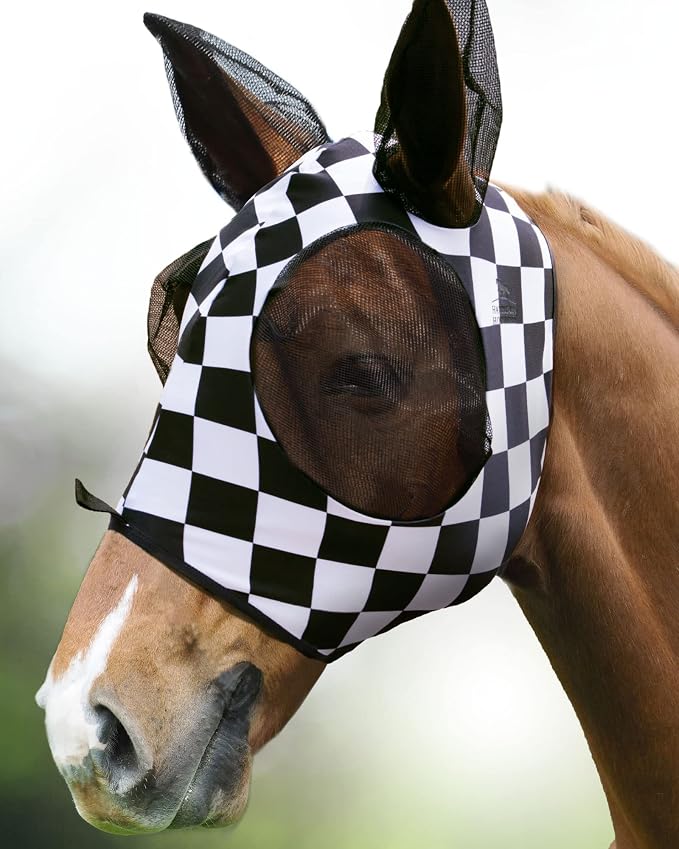 Checker Board