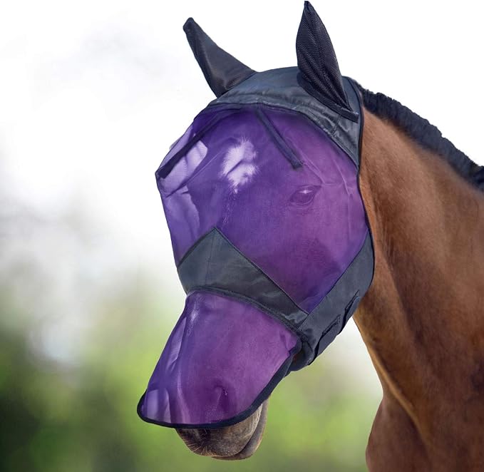 Black/Purple