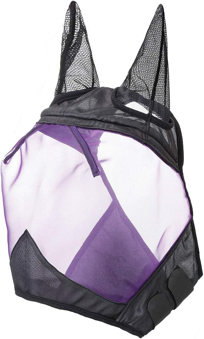 Black/Purple