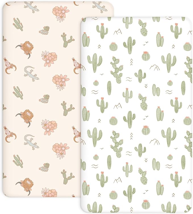 Cactus Cozy