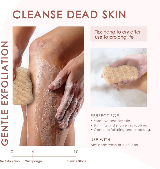 Konjac and Walnut Body Sponge