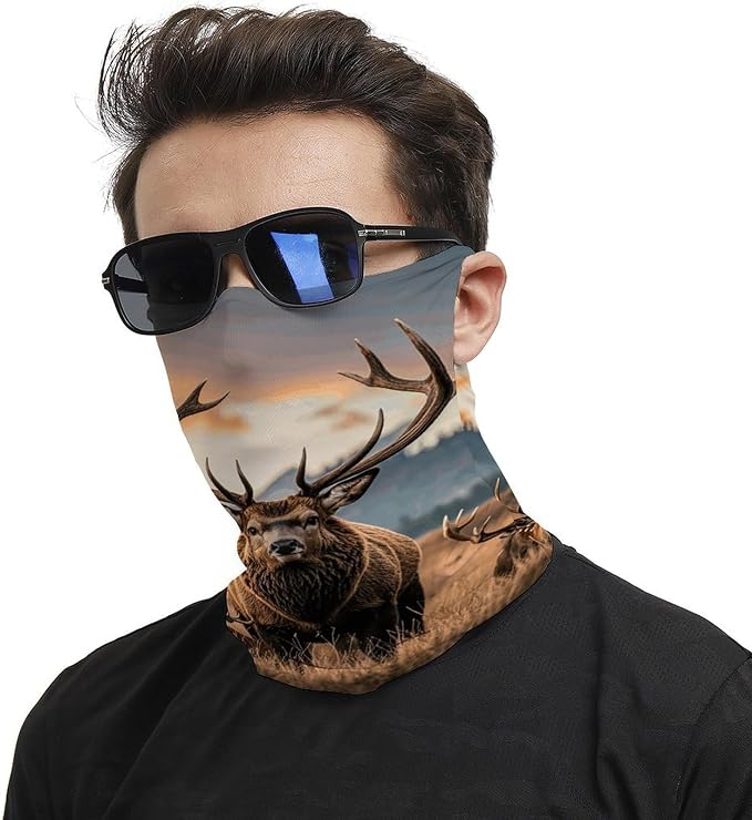 Wildlife Hunting Deer Bear Elk