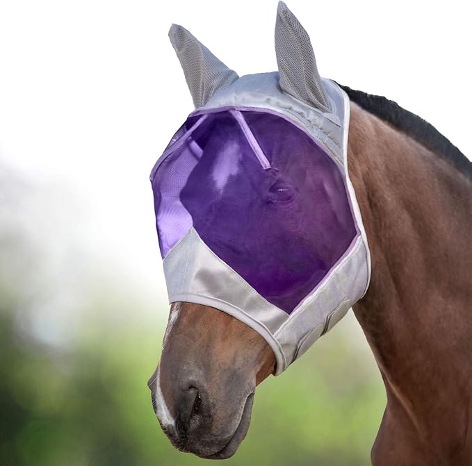 Silver/Purple