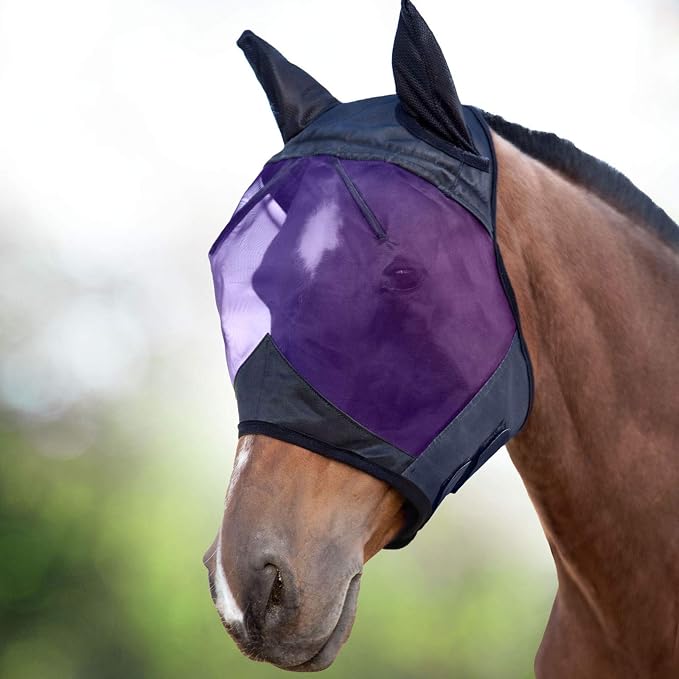 Black/Purple
