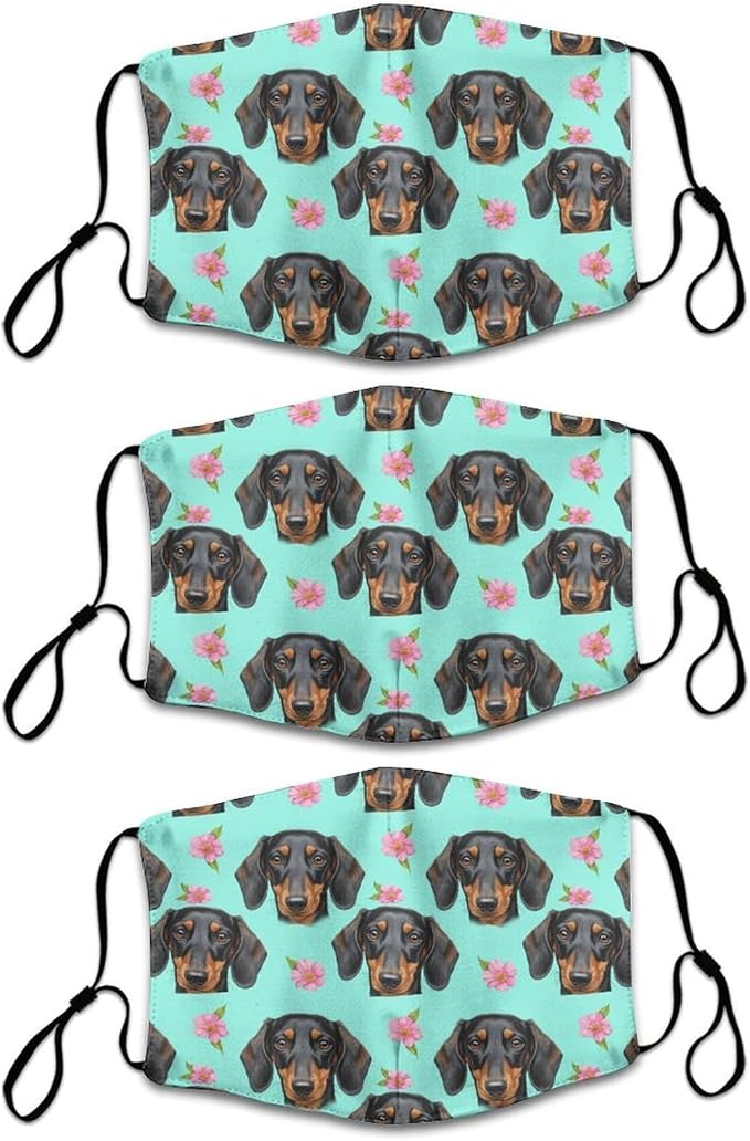 Pattern (319)