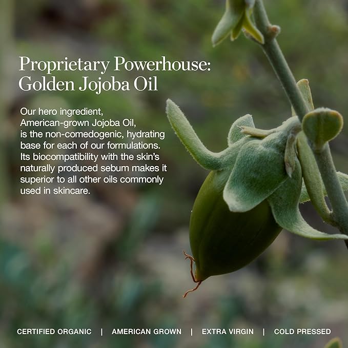 LINDEN 1.25N - Light Beige (Neutral Undertones)