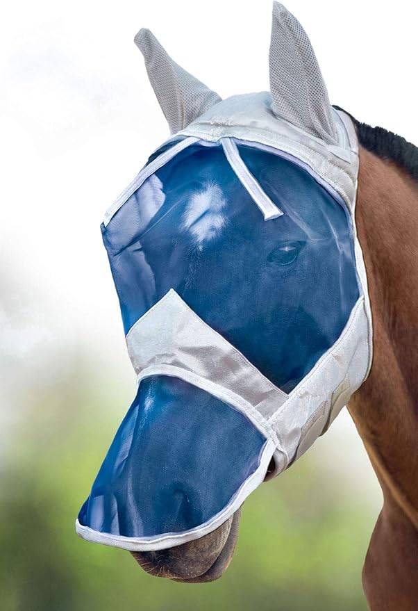 Silver/Blue