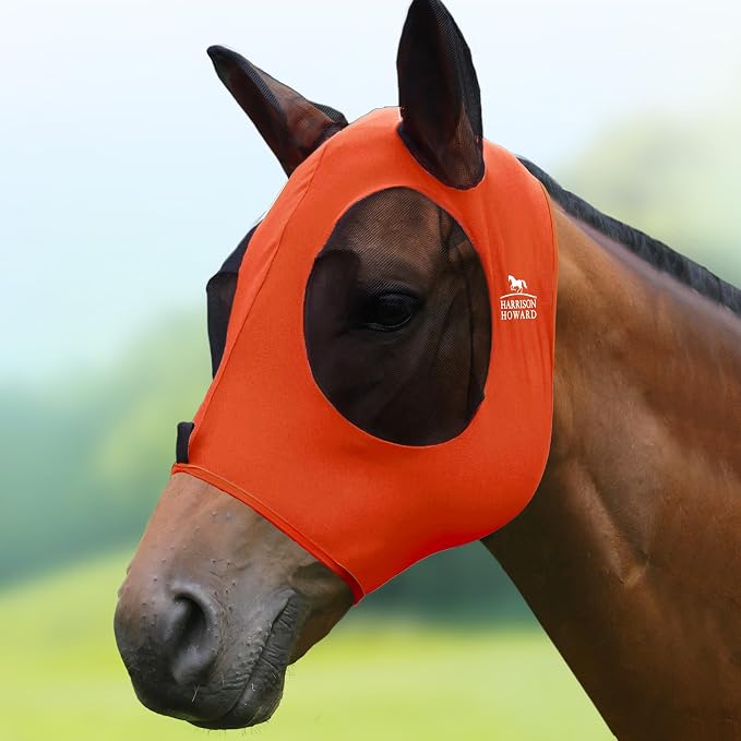 Vibrant Orange