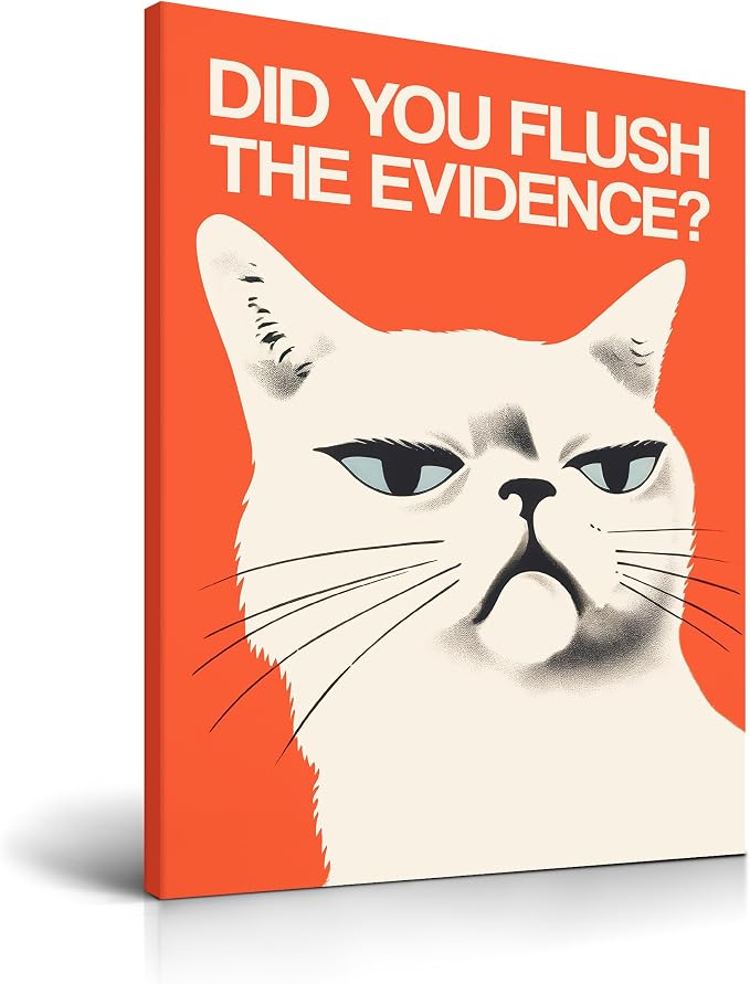 Funny Cat Bathroom