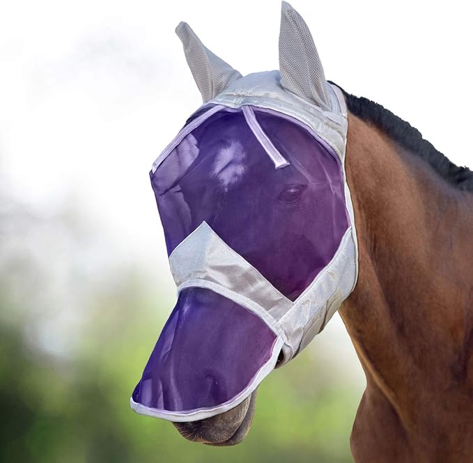 Silver/Purple