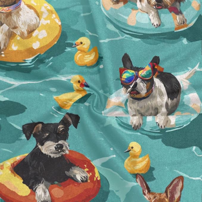 Teal Swimming Pool Dogs and Ducks