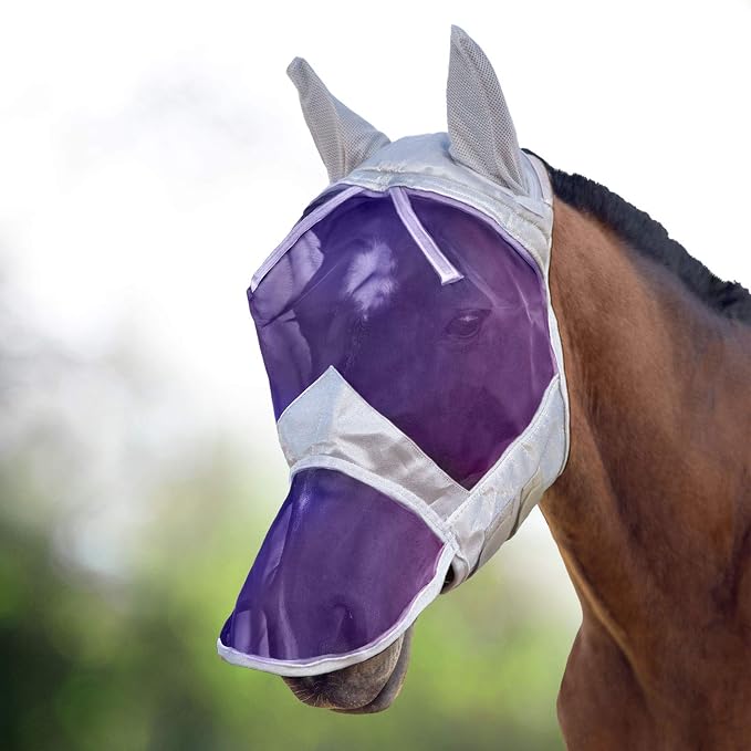 Silver/Purple