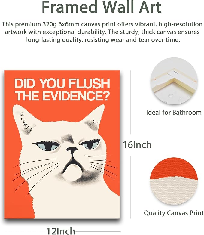 Funny Cat Bathroom