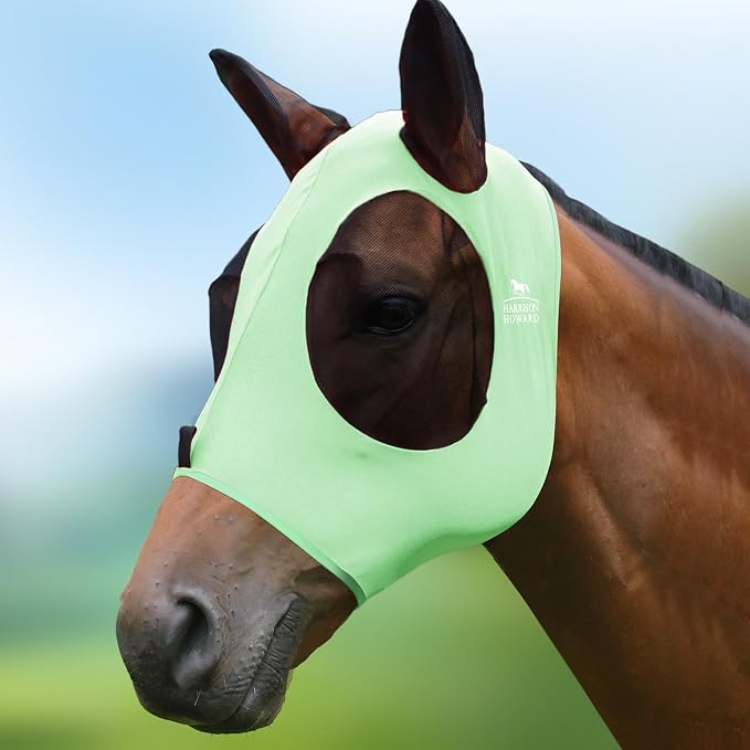 Cool Mint