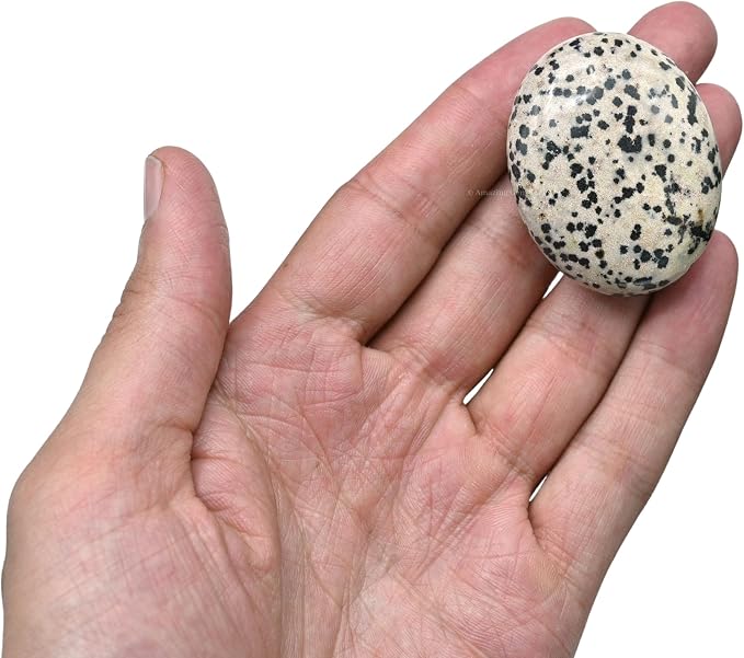 Dalmatian Jasper