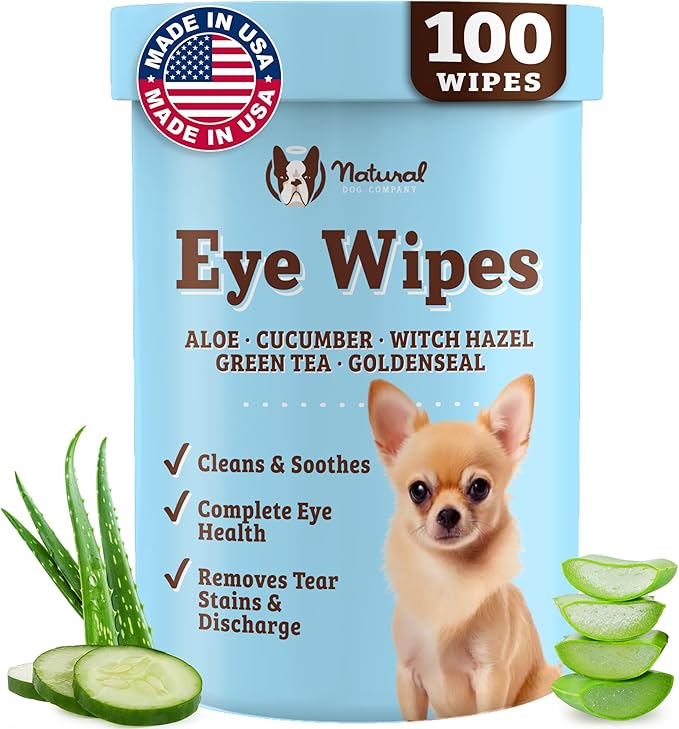 Eye Wipes 100