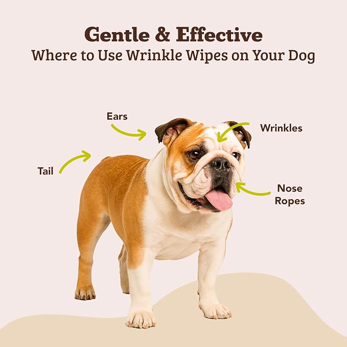 Wrinkle Wipes 100