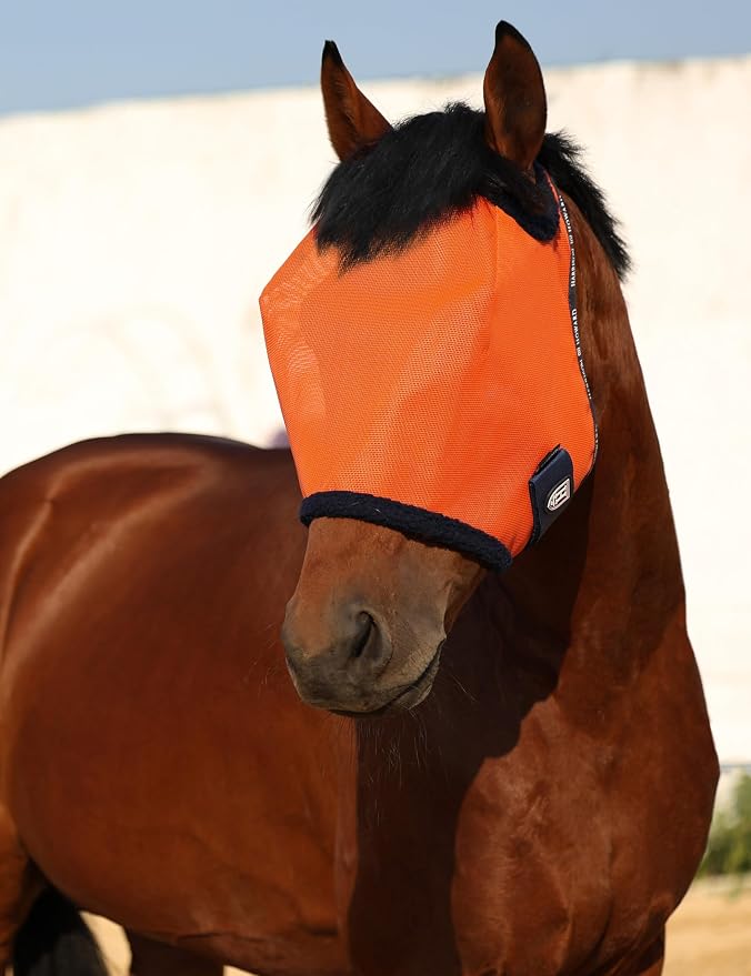 Vibrant Orange