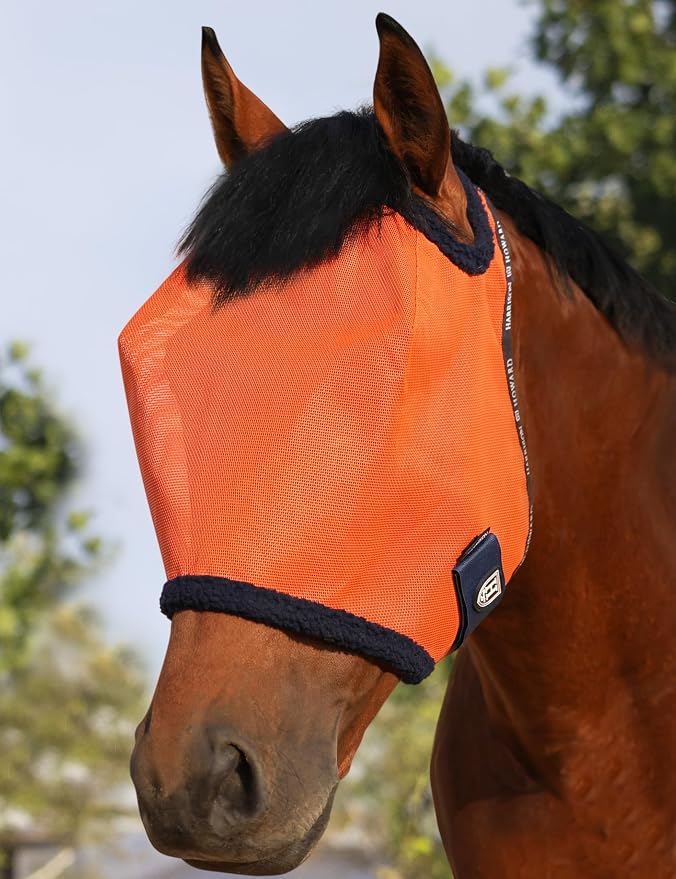 Vibrant Orange