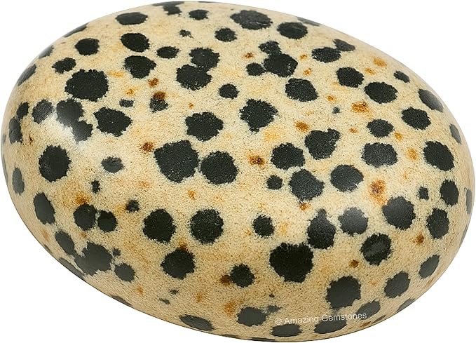 Dalmatian Jasper