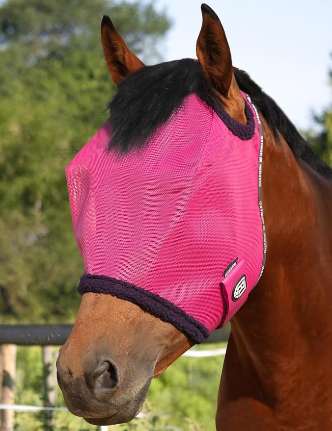 Magenta
