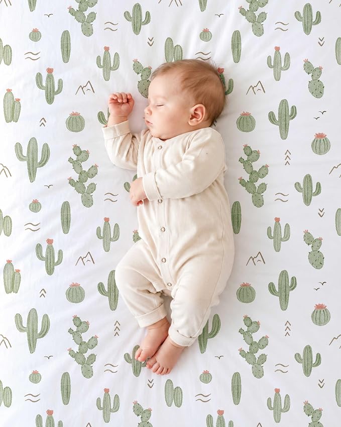Cactus Cozy