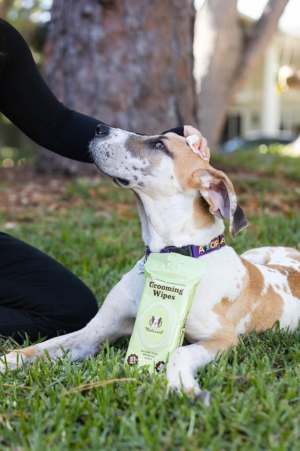 Grooming Wipes