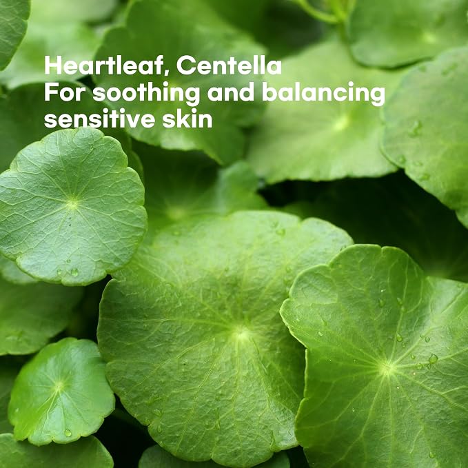 Heartleaf Calming Serum Mask -5pk