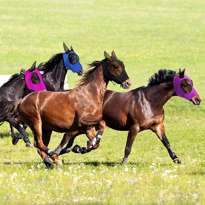 Purple, Blue, Pink, Black