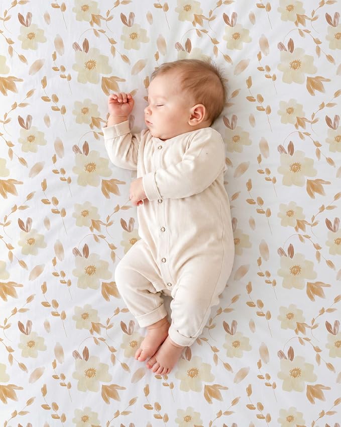 Honeybee Dreams