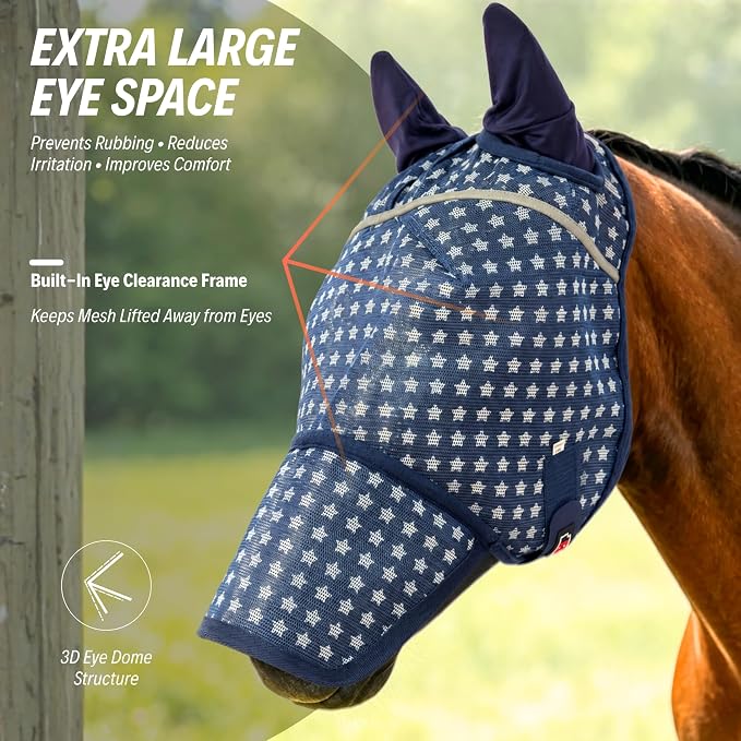 Blue Star Print