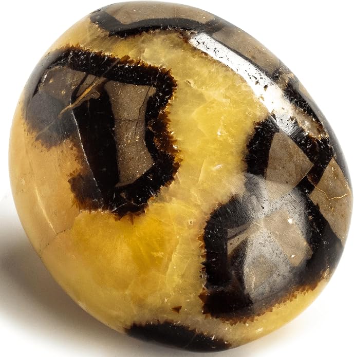 Septarian